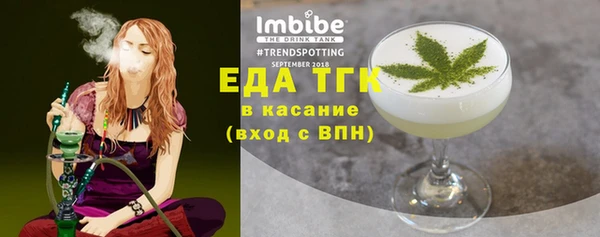 индика Балахна