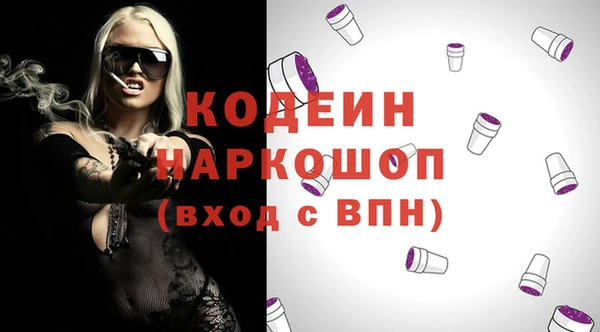 индика Балахна