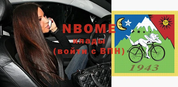 индика Балахна