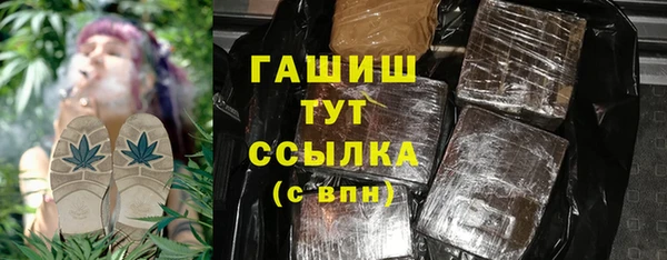 индика Балахна
