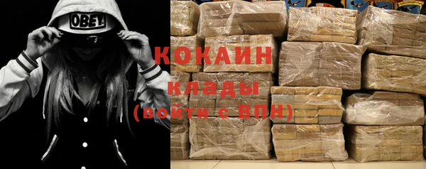 индика Балахна