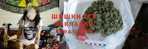 индика Балахна