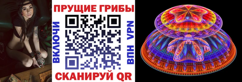 Галлюциногенные грибы Psilocybine cubensis  где можно купить   Вятские Поляны 