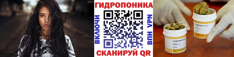 KRAKEN вход Вятские Поляны МАРИХУАНА White Widow